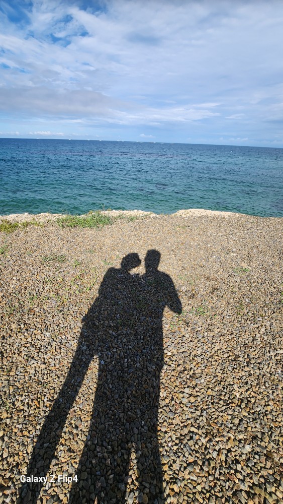 살아가는것은 내가 이 세상에 태어나면서부타 죽음의 시작이라는 것을 일깨워준 철학자가 있어