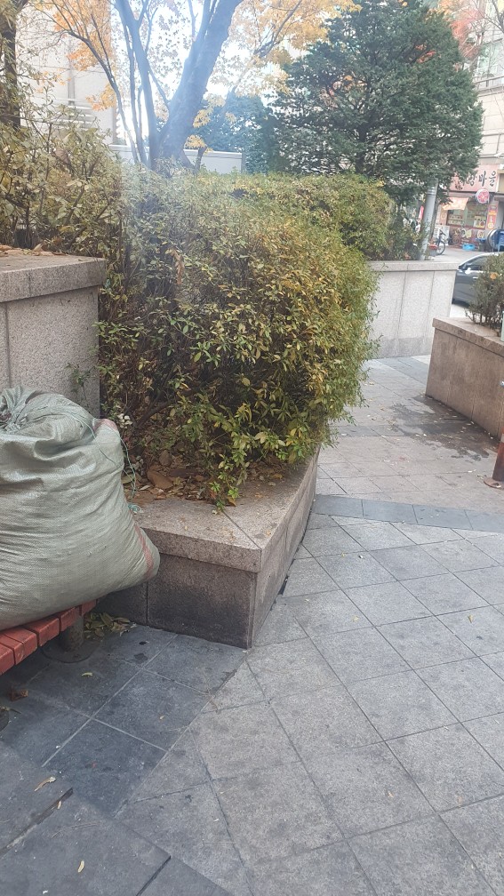 ㅂㅏ닥이 디럽네^^