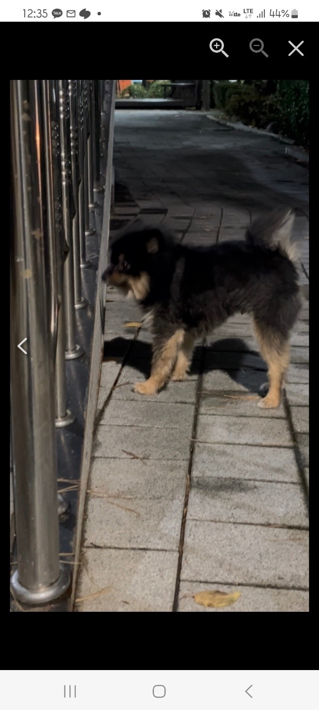 Post image 15