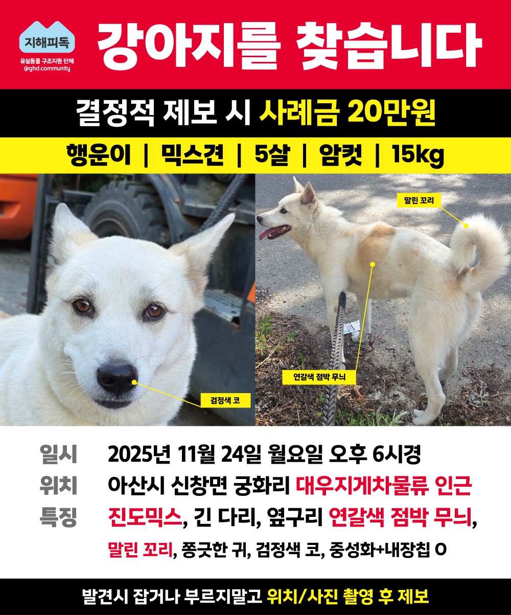 Post image 21