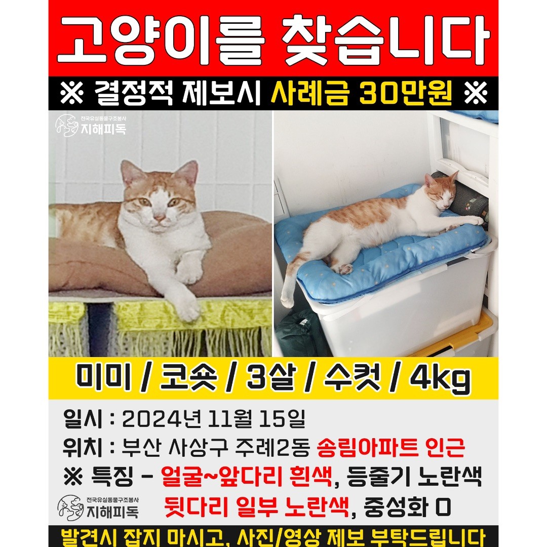 Post image 8
