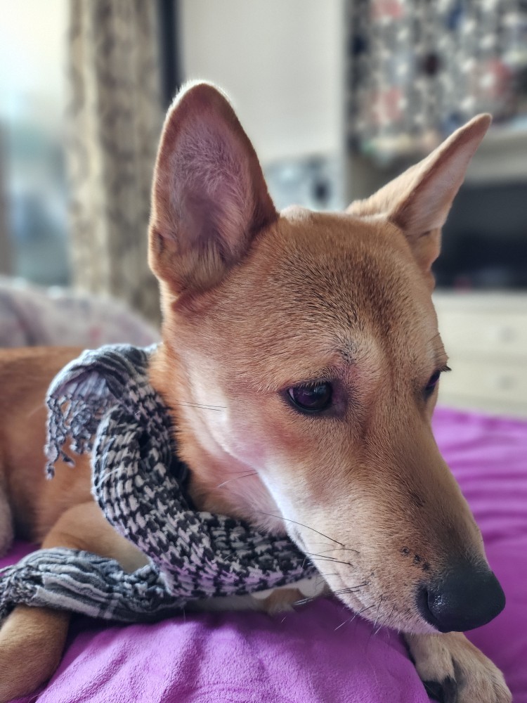 Post image 3