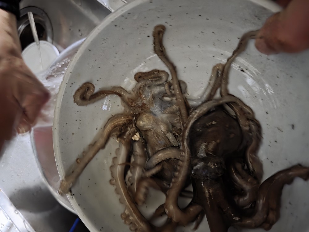 Post image 8