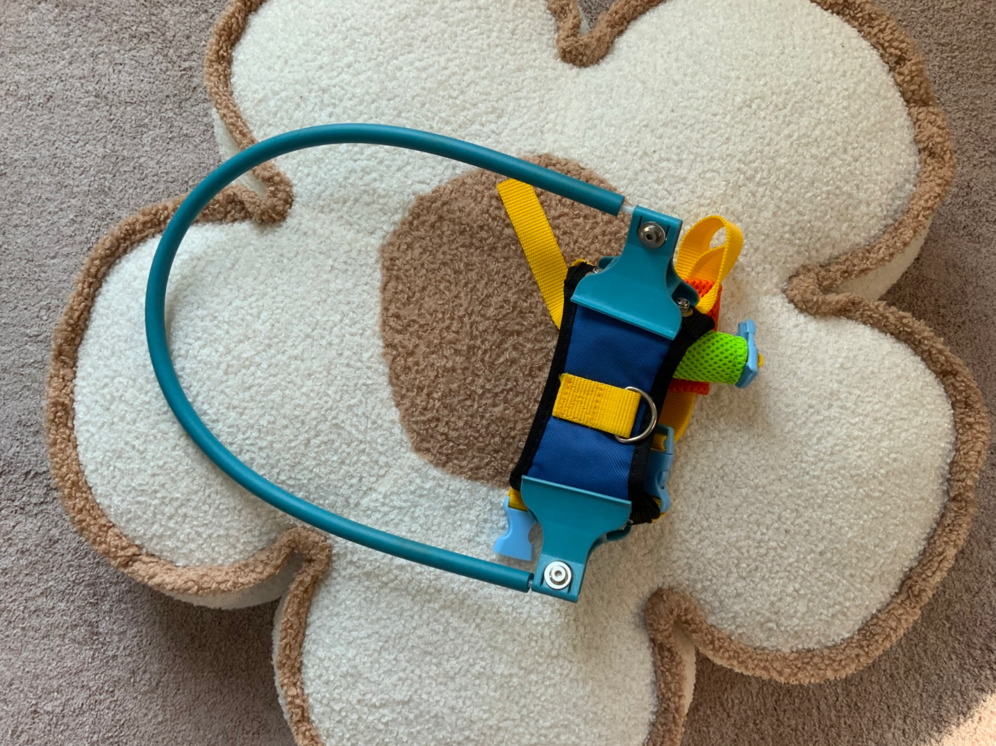 눈이 안보이는 강아지용 안전장치입니다