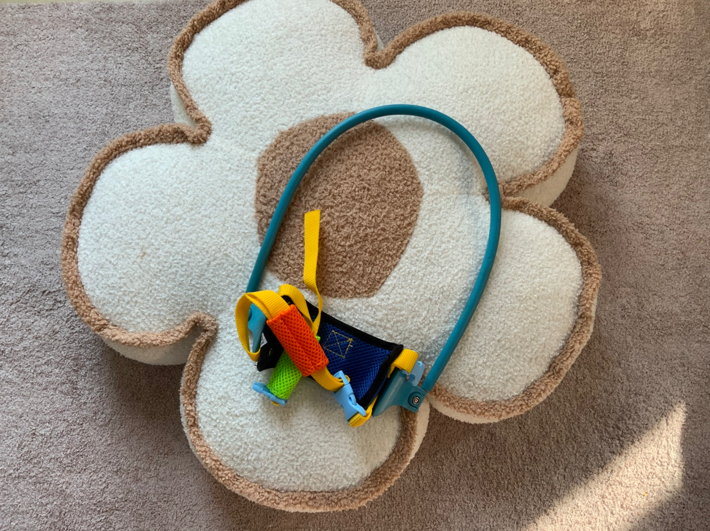 눈이 안보이는 강아지용 안전장치입니다