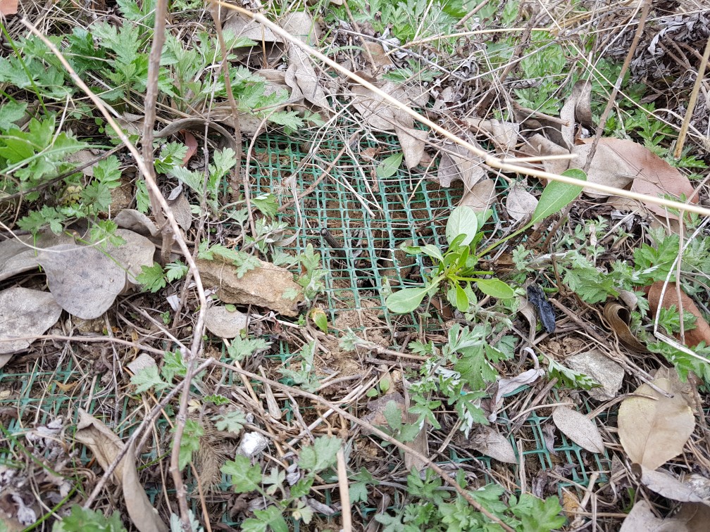 Post image 7