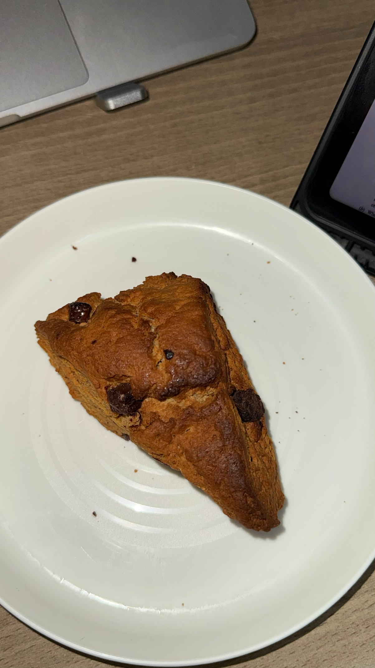 #보스콘 #초코칩스콘