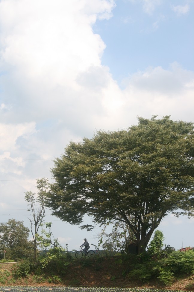 안녕하세요 처음 들어왔습니다