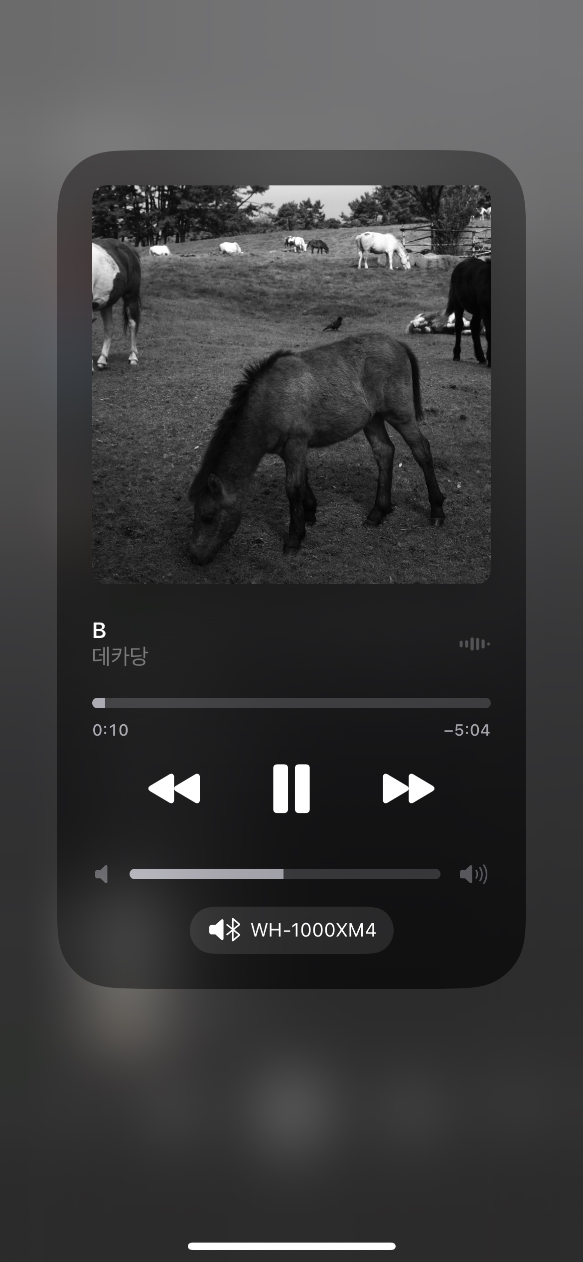 오늘 추천 노래는 데카당-B입니다아.