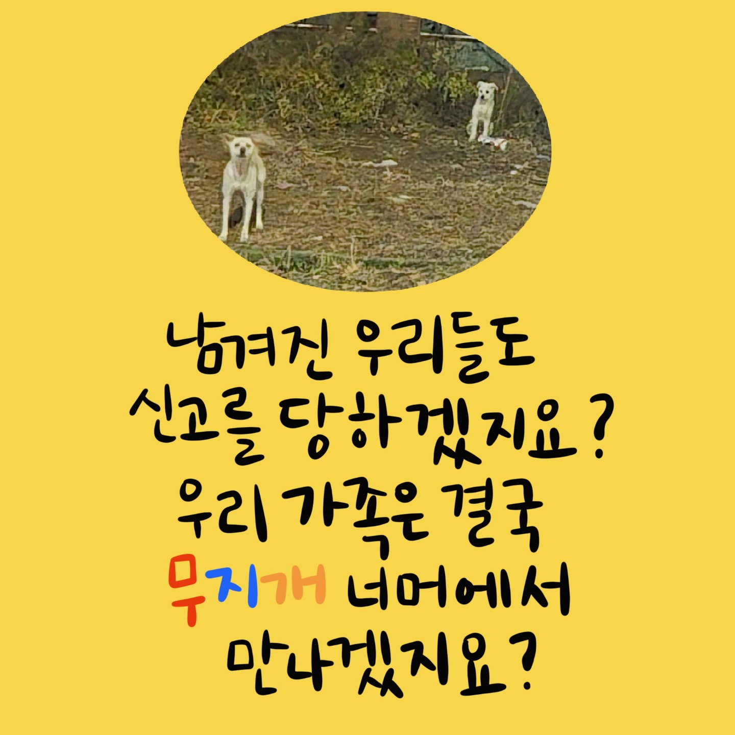 Post image 10