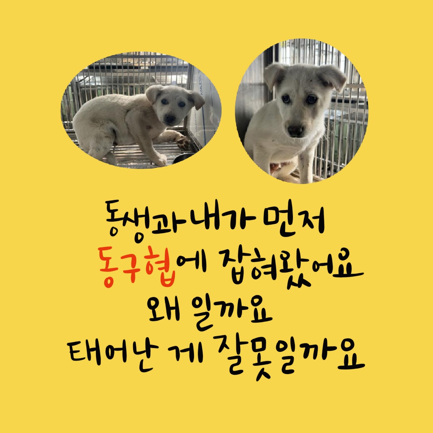 Post image 8