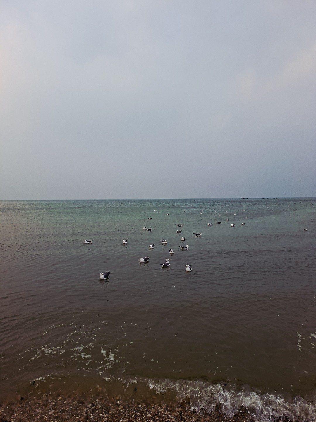 Post image 6