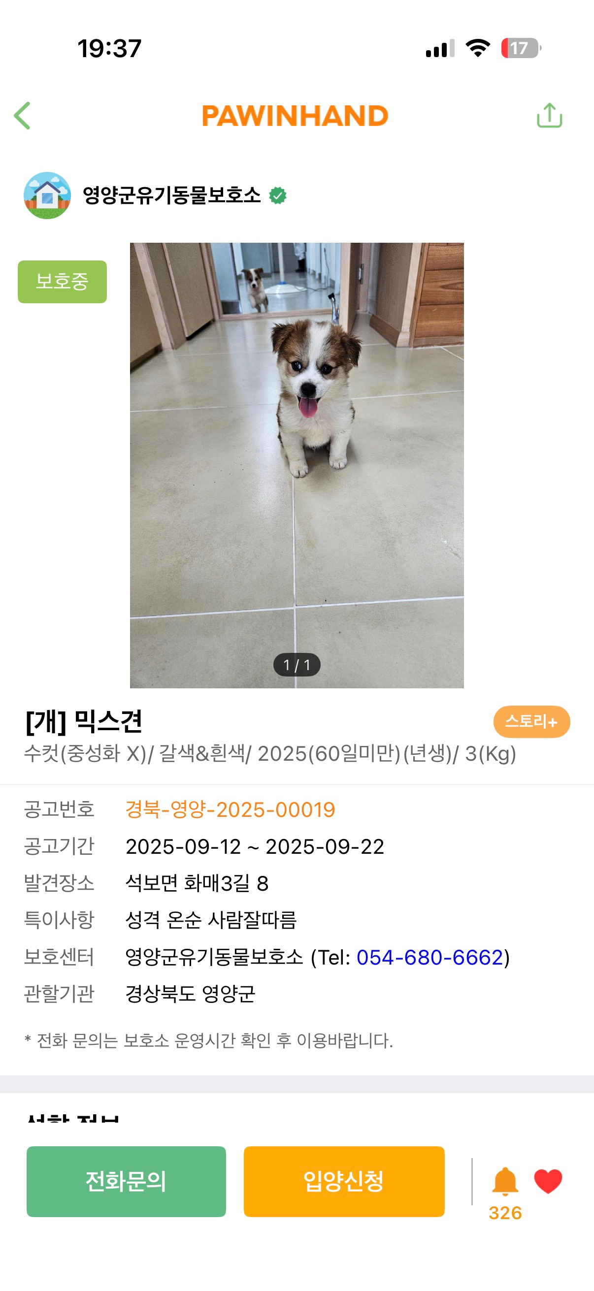 Post image 11