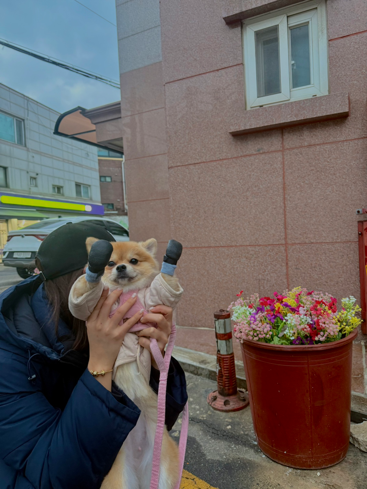저희 강아지는 집근처 동네 뛰는걸 좋아하는 포메에용