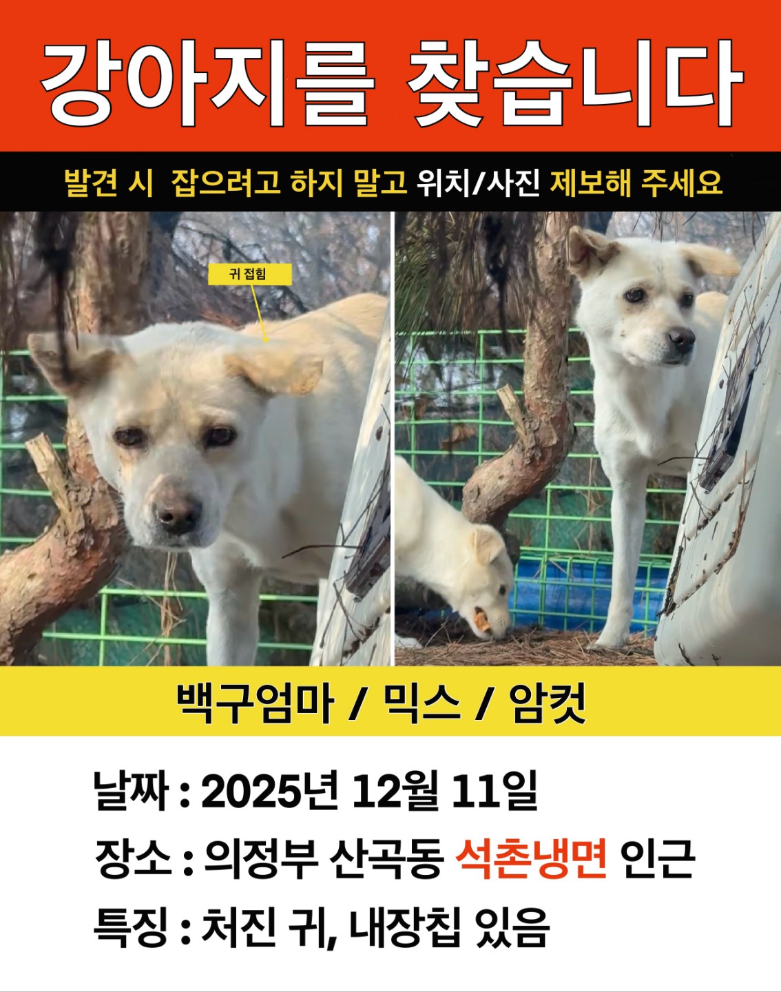Post image 18