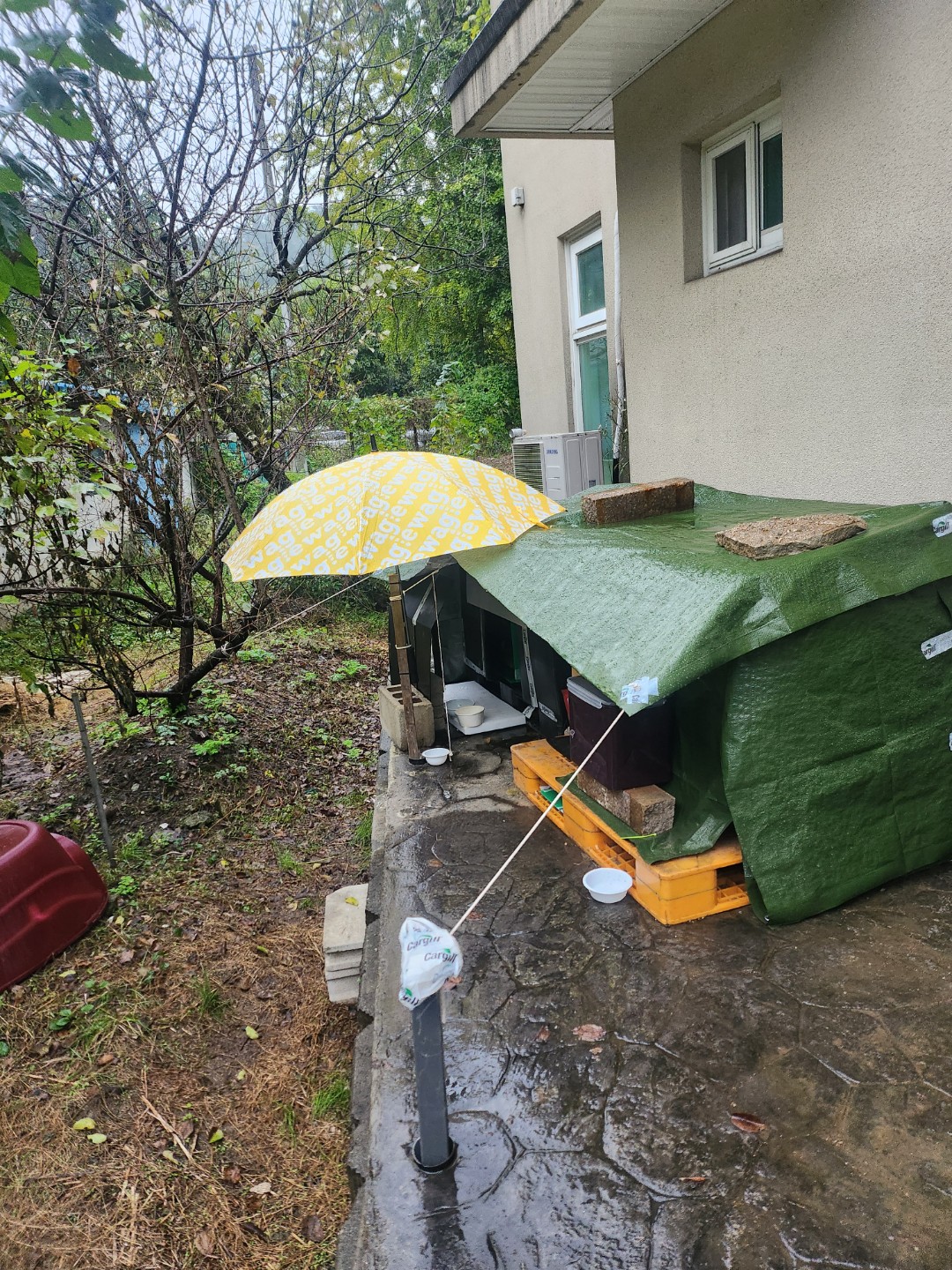 Post image 6