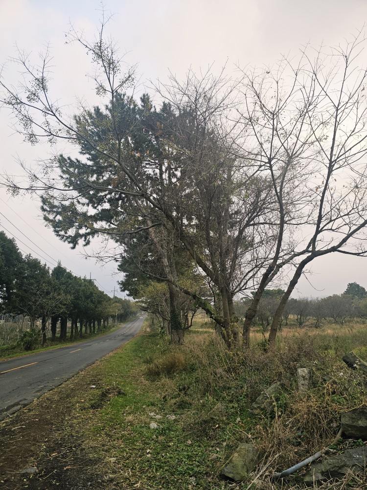 오늘 뭐 하셨어요??