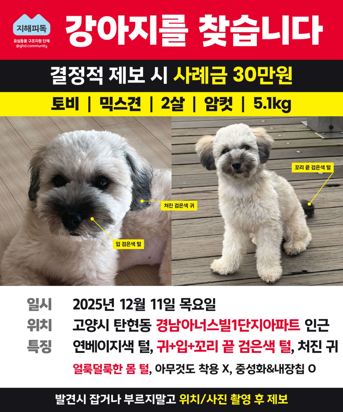 Post image 28