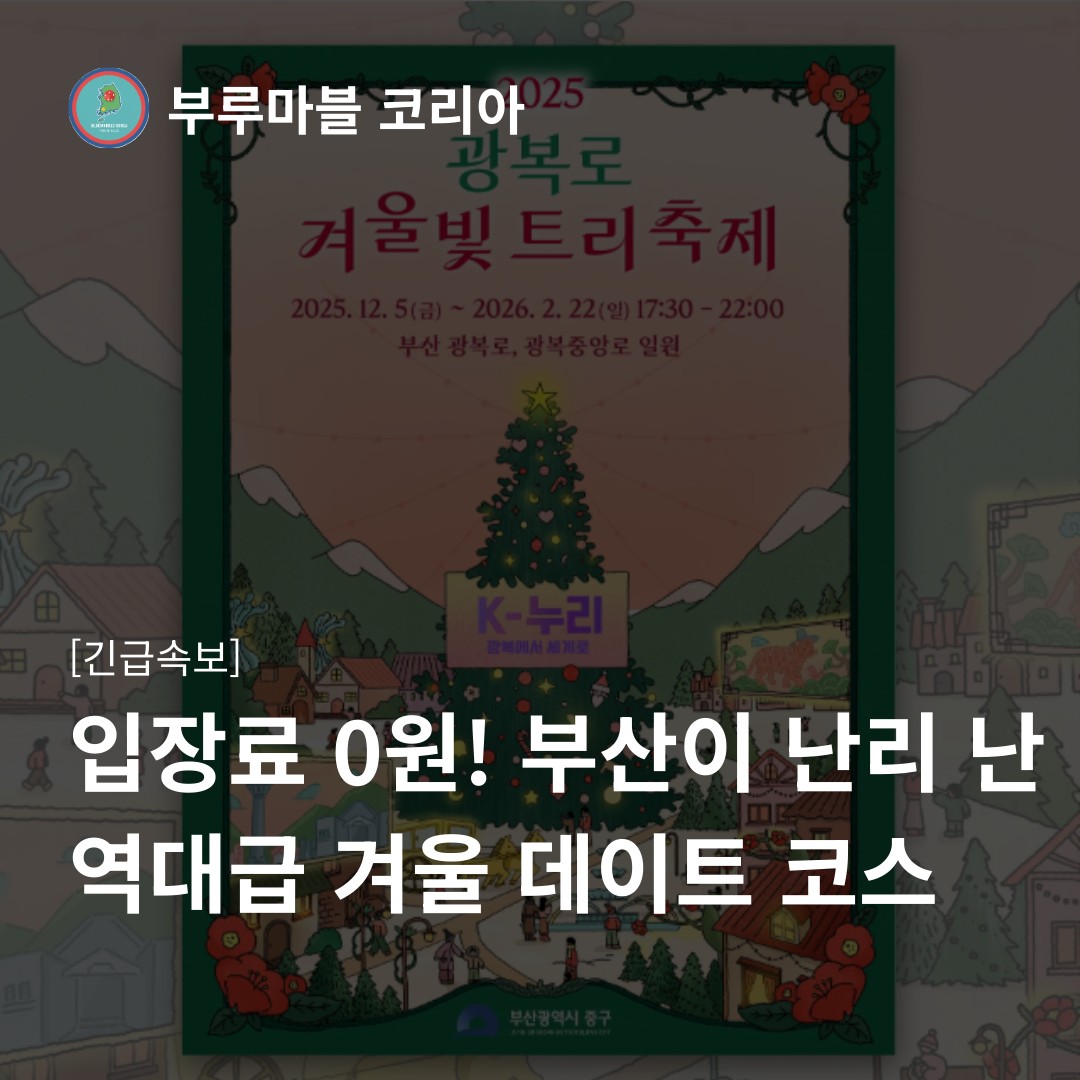 부산러들 주목! 📢 이거 진짜 한국 맞나요..? 🎄✨
