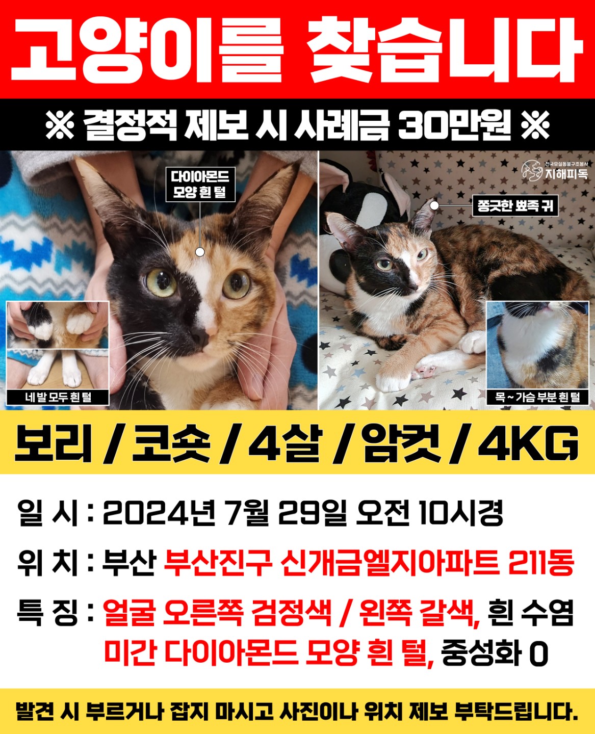 Post image 15