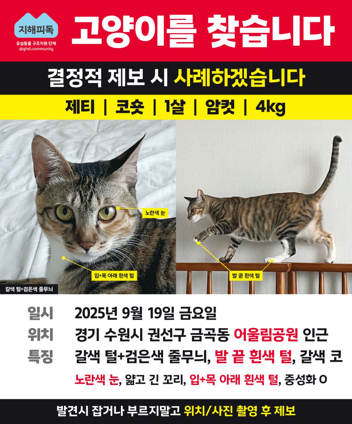 Post image 18