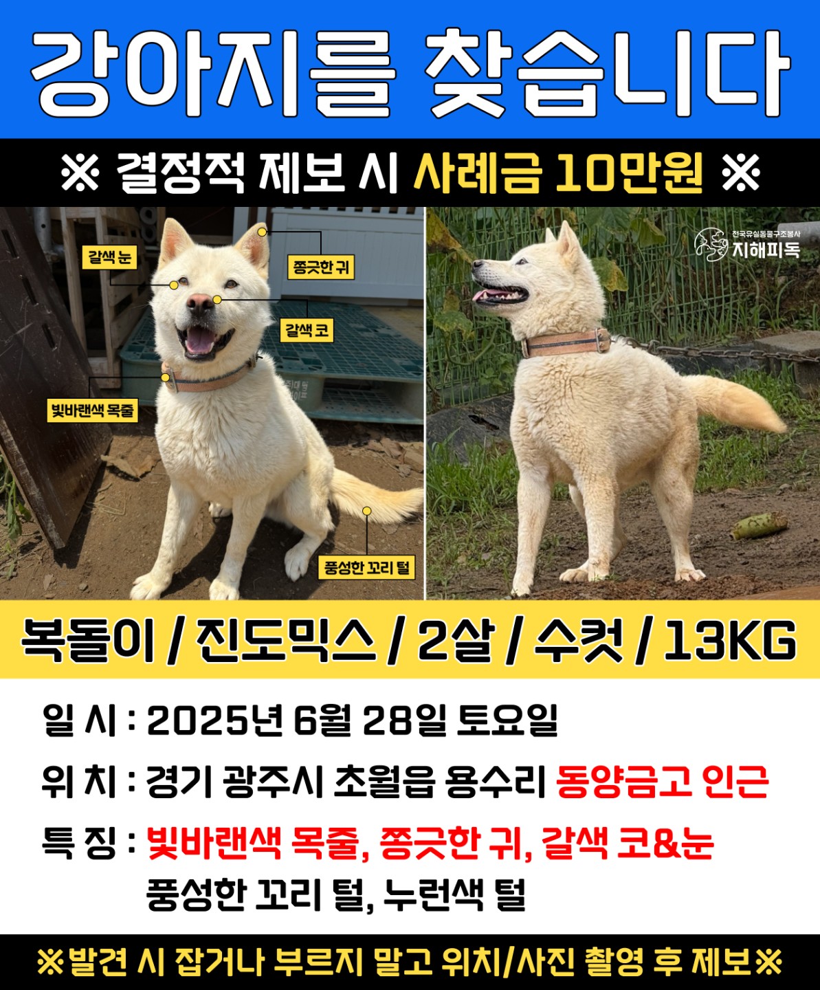 Post image 16