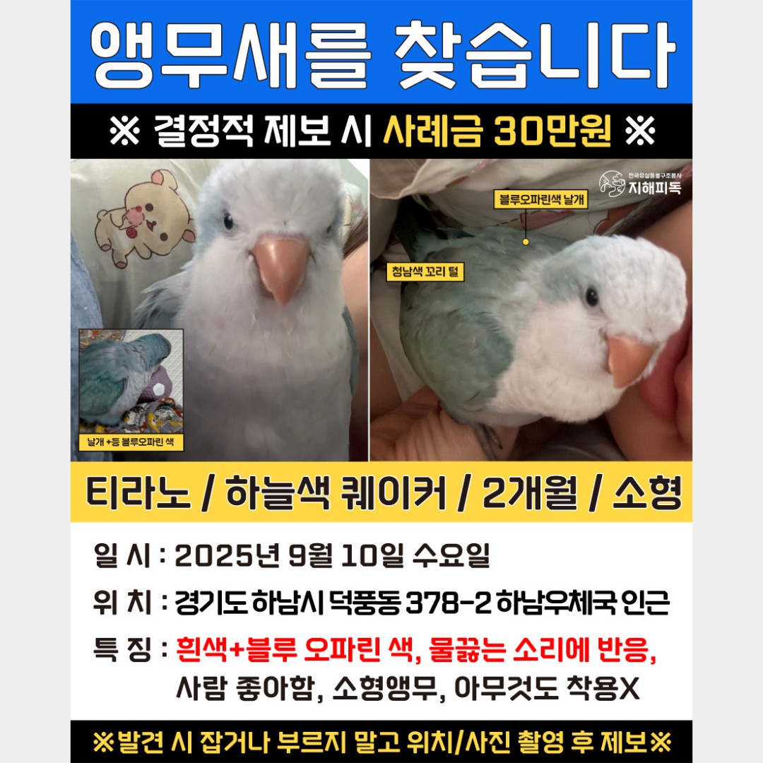 Post image 20