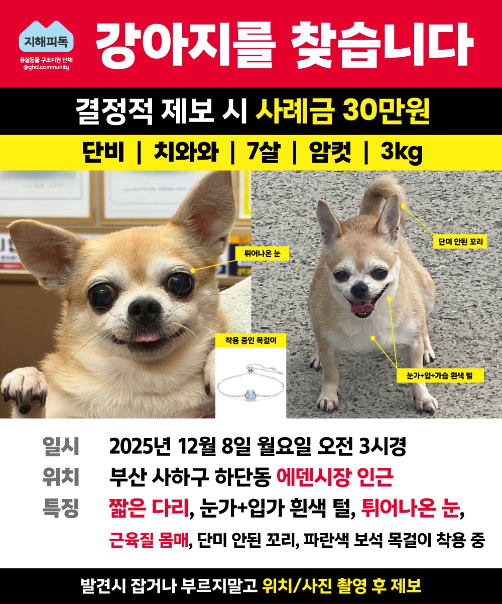 Post image 19