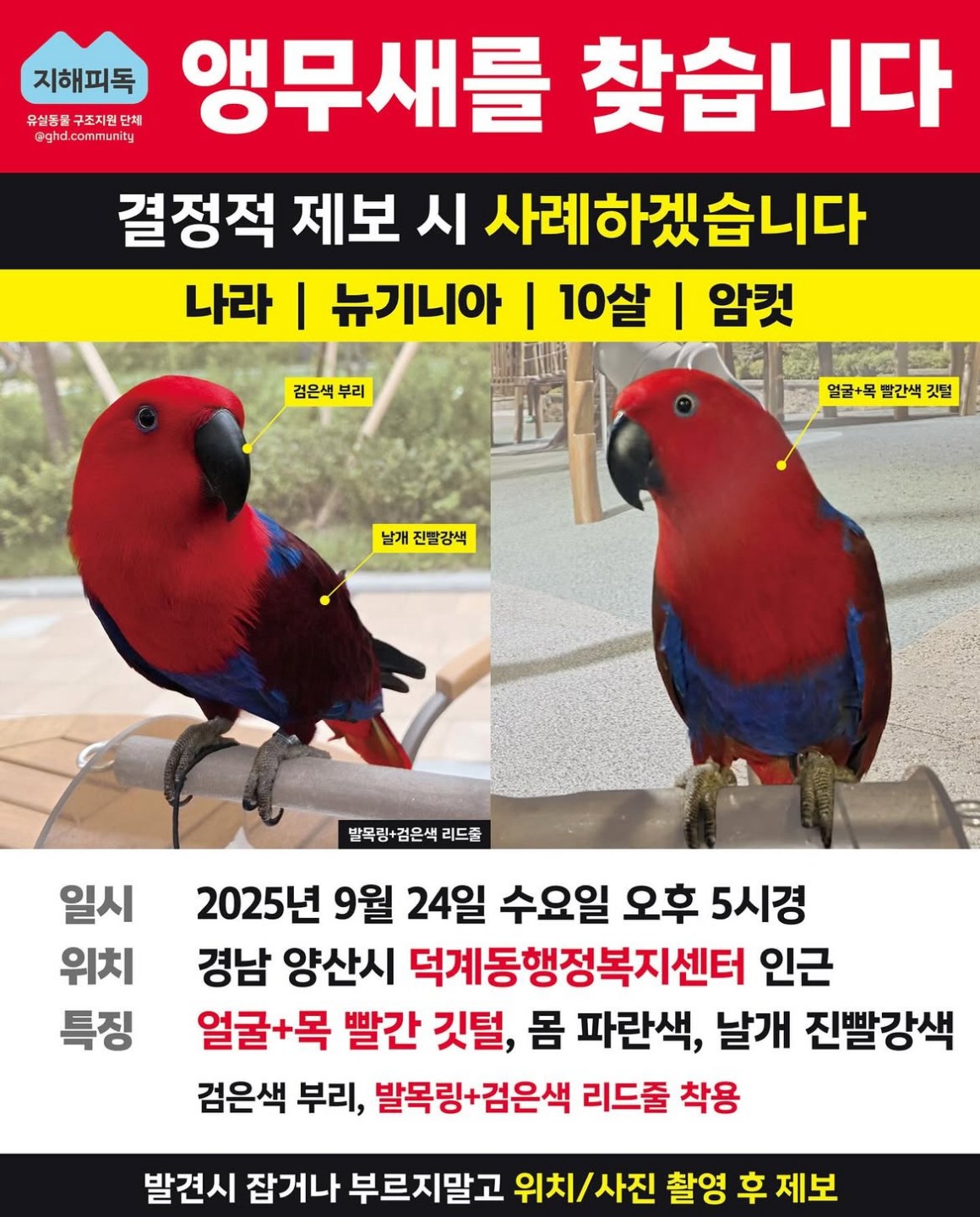 Post image 13