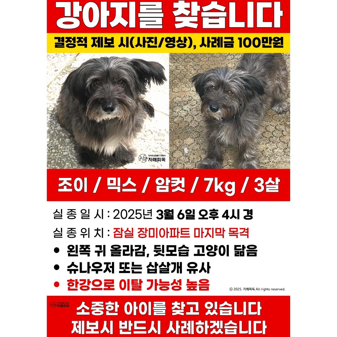 Post image 13
