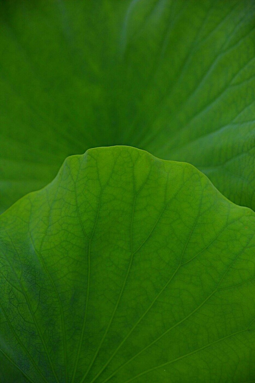 Post image 16