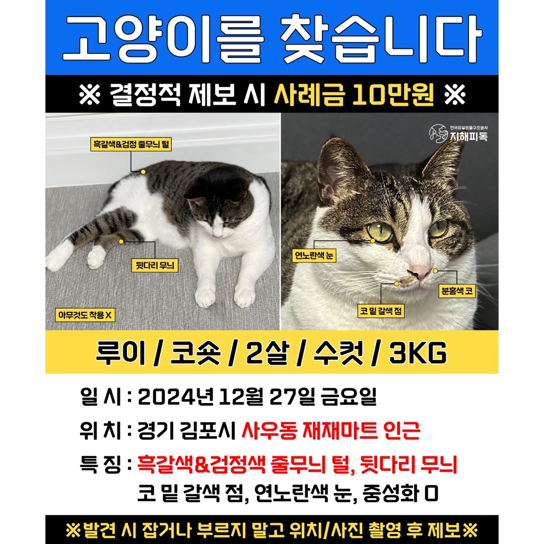 Post image 15