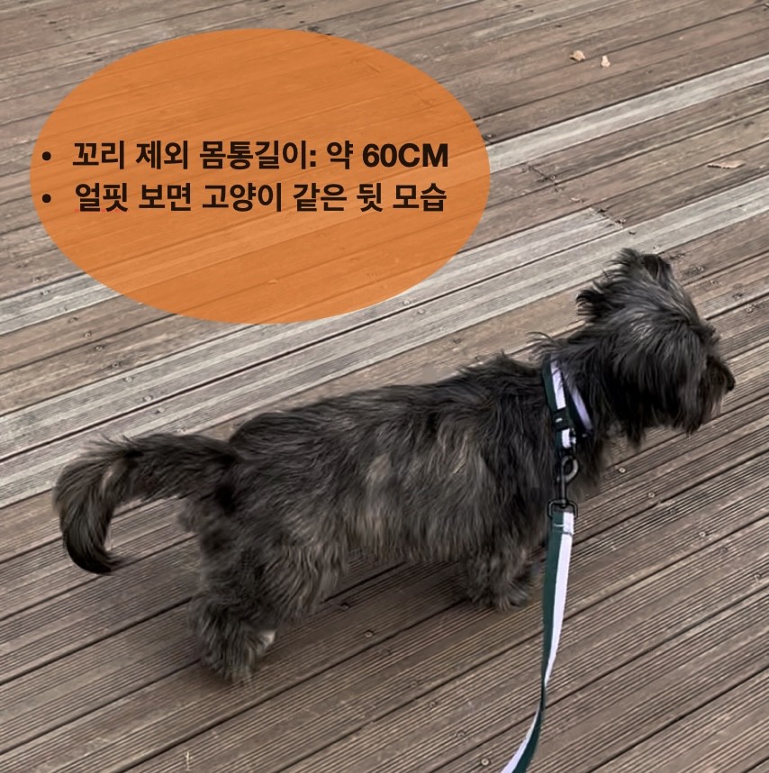 Post image 12