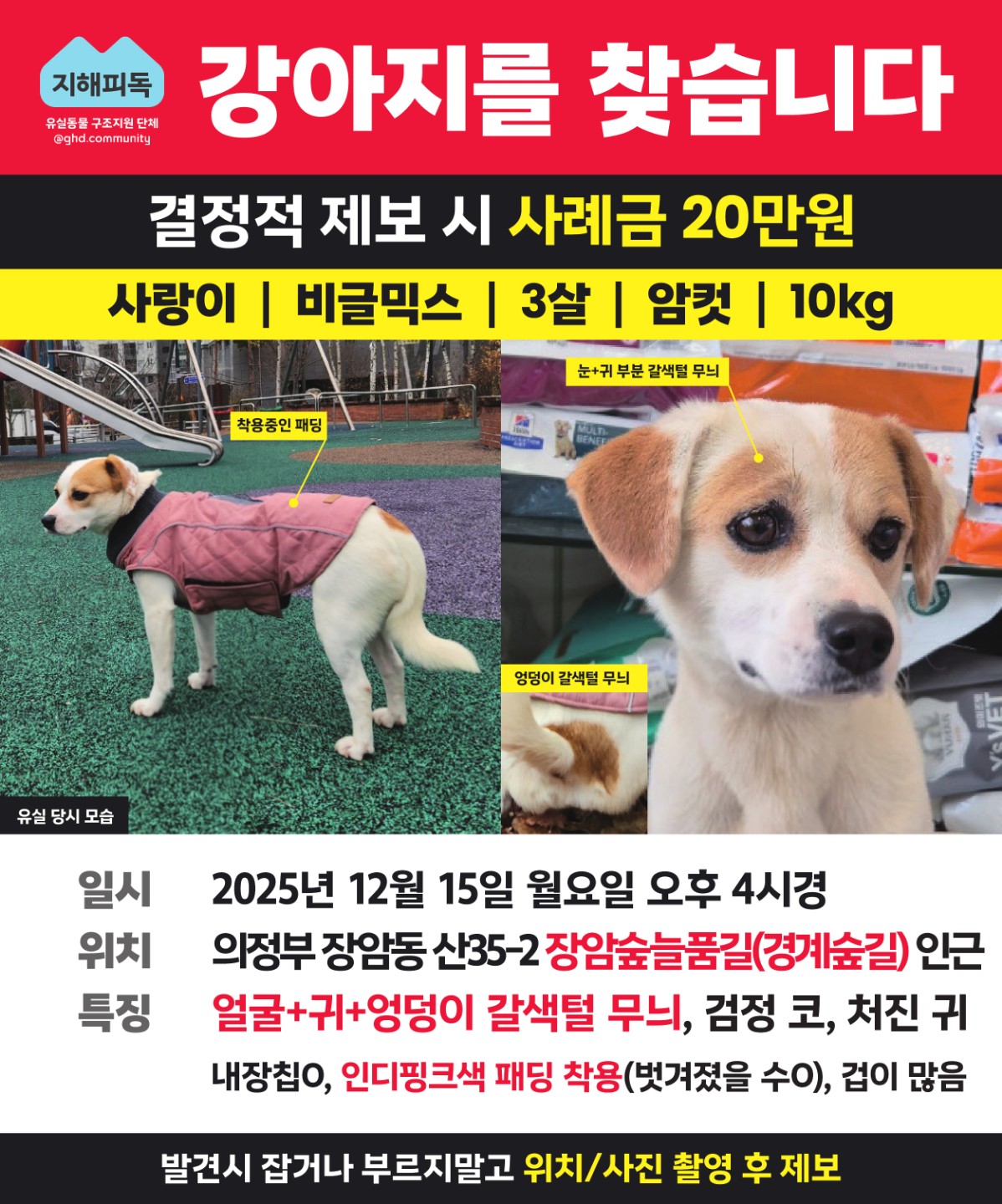 Post image 21