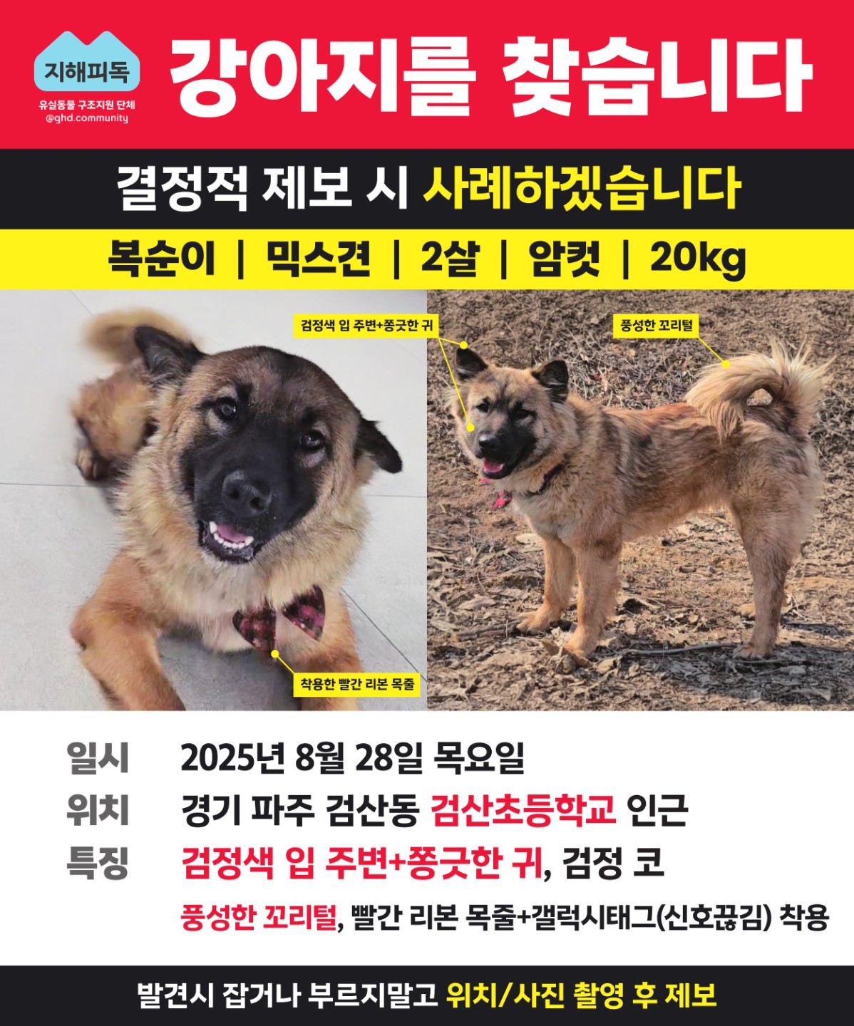 Post image 10