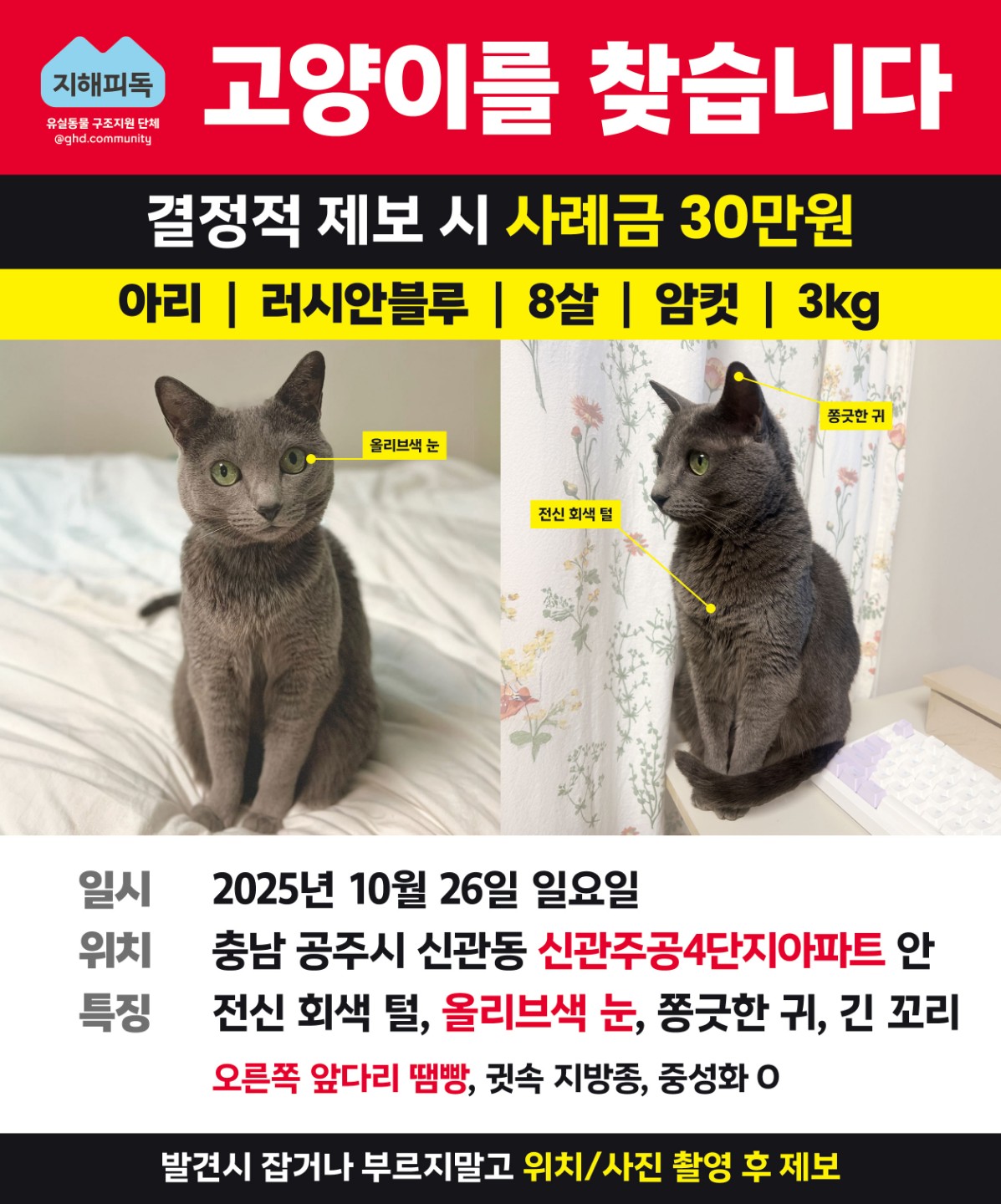 Post image 10