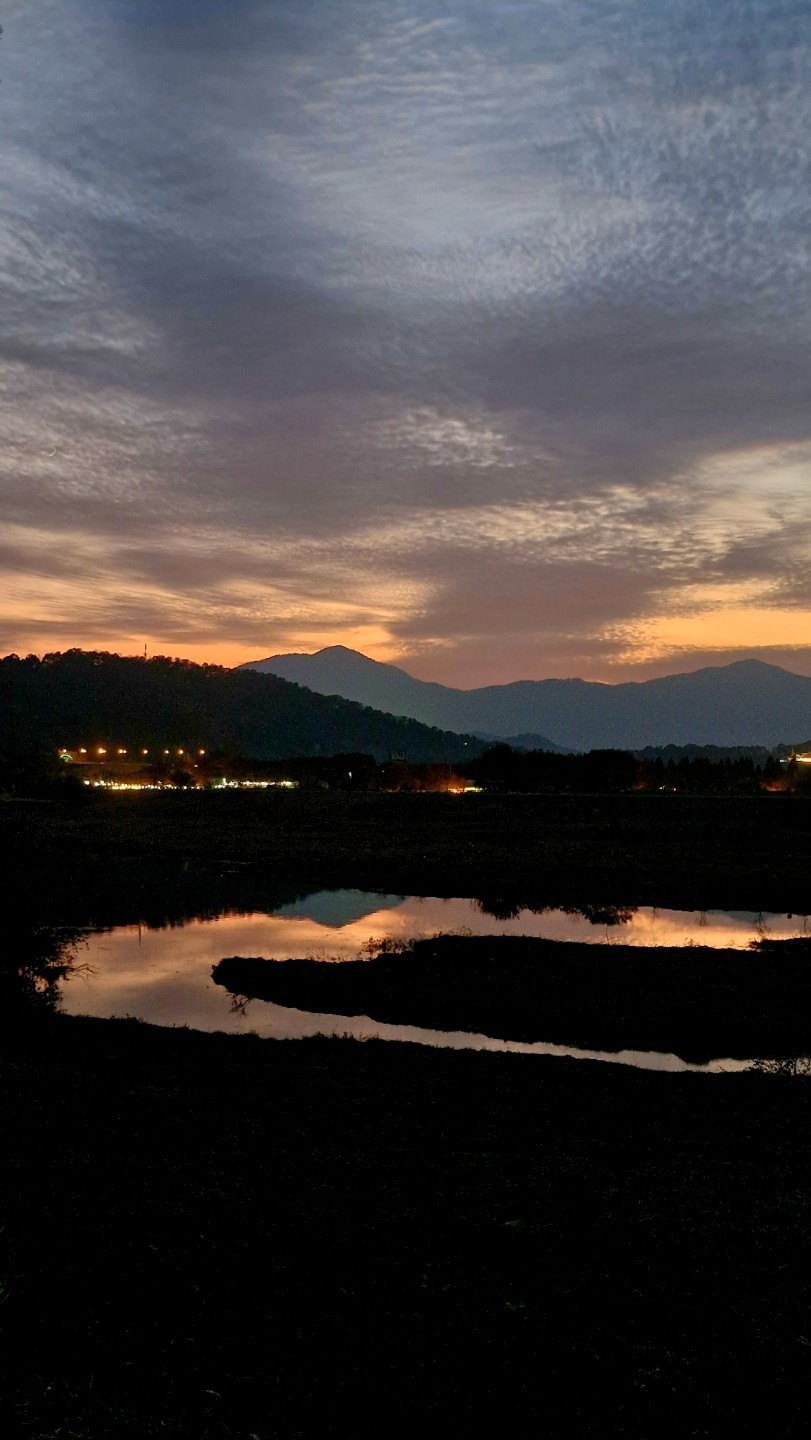 11월 이후부터 지금까지 충북옥천 부소담악, 밀양 금시당, 삼척 촛대바위길, 삼척강원도종합