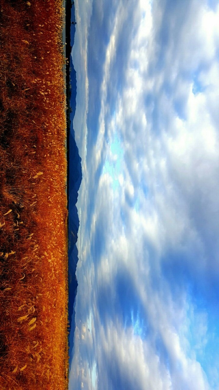 Post image 6