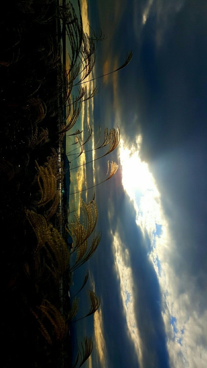 Post image 5