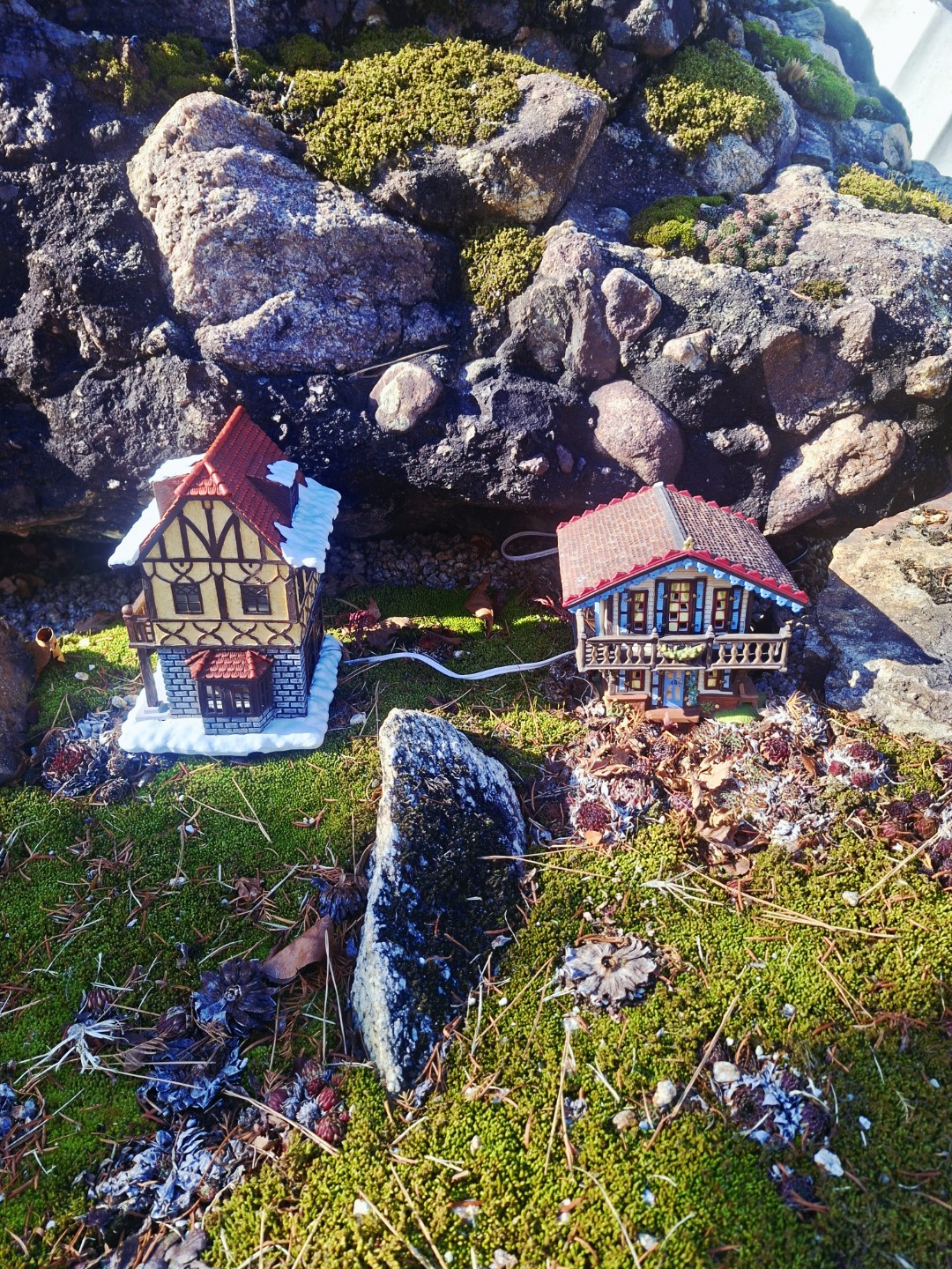 Post image 7