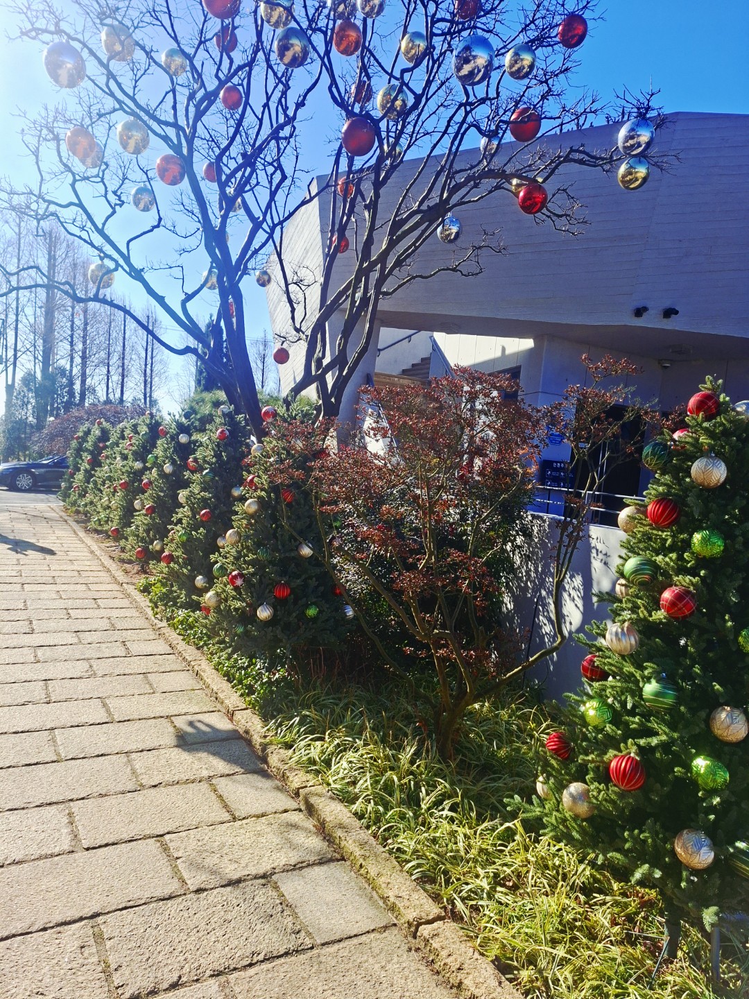 Post image 6