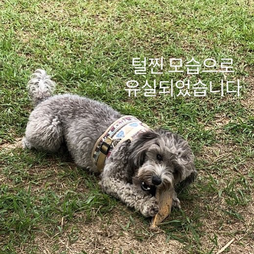 Post image 11