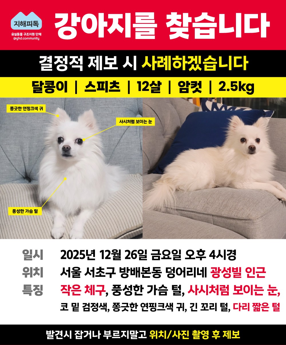 Post image 11