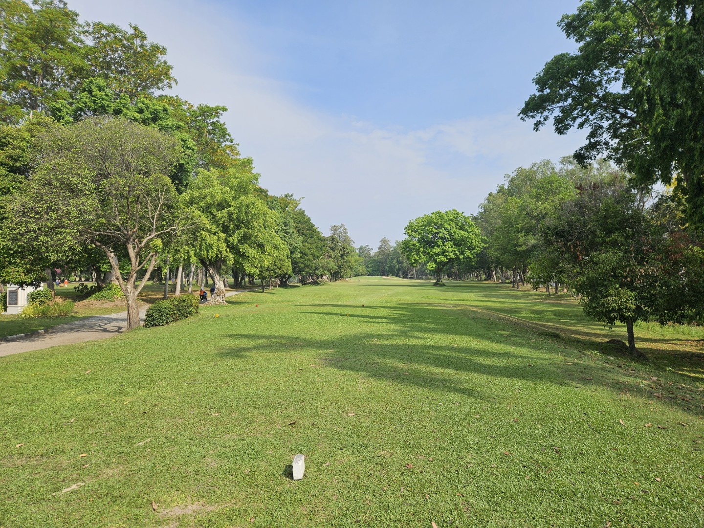 Post image 8