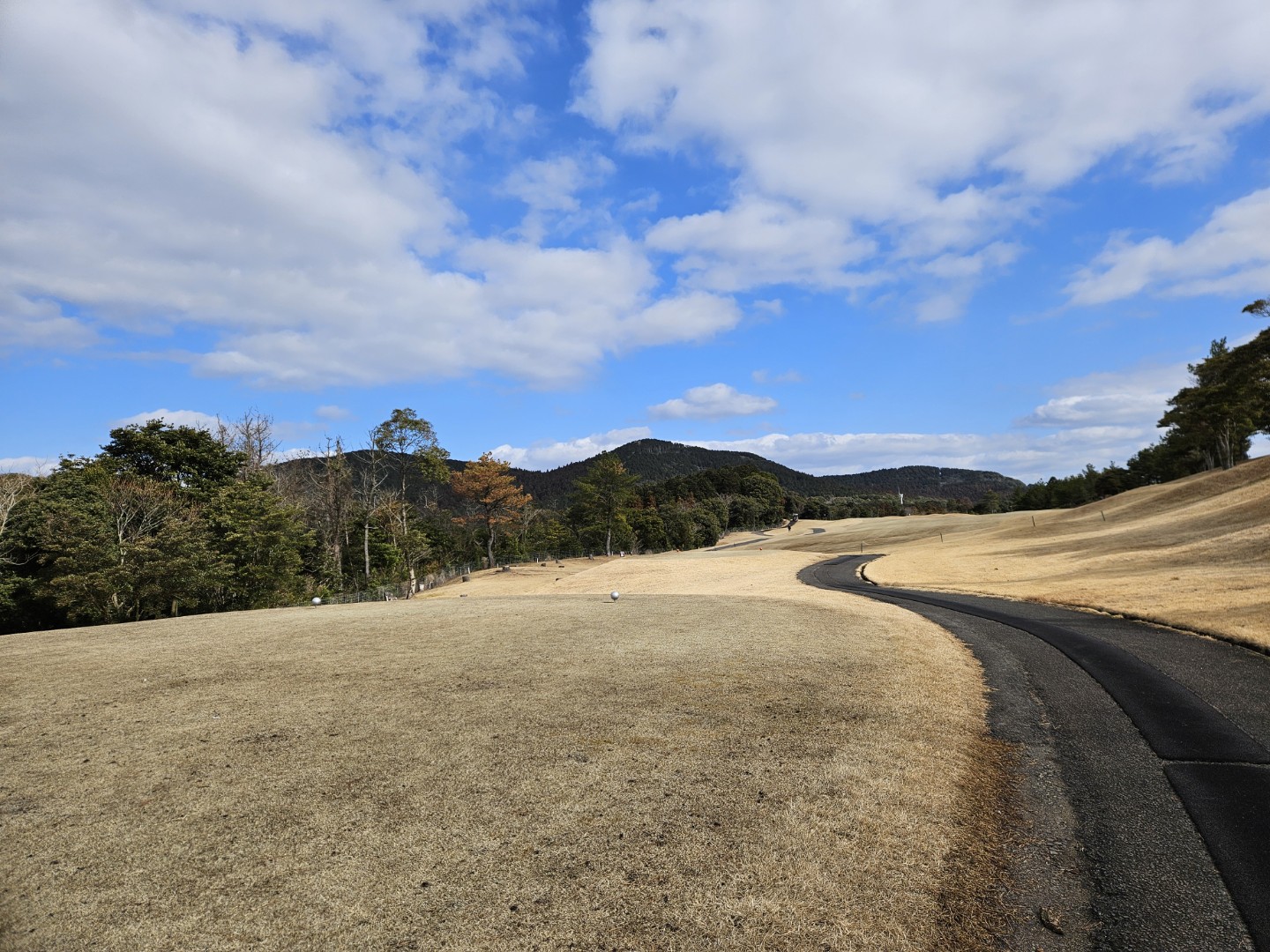 Post image 6