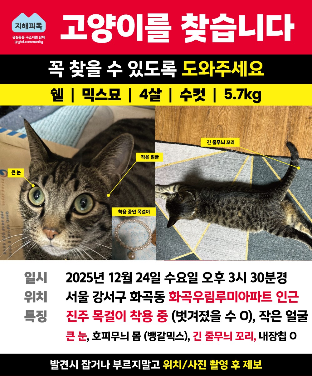 Post image 11