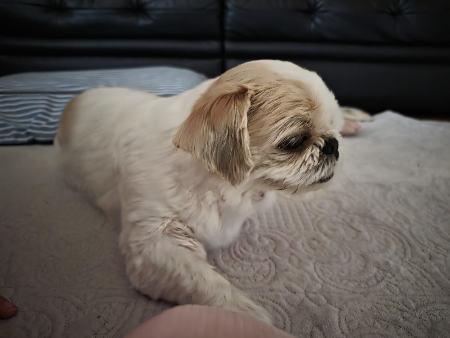 Post image 3