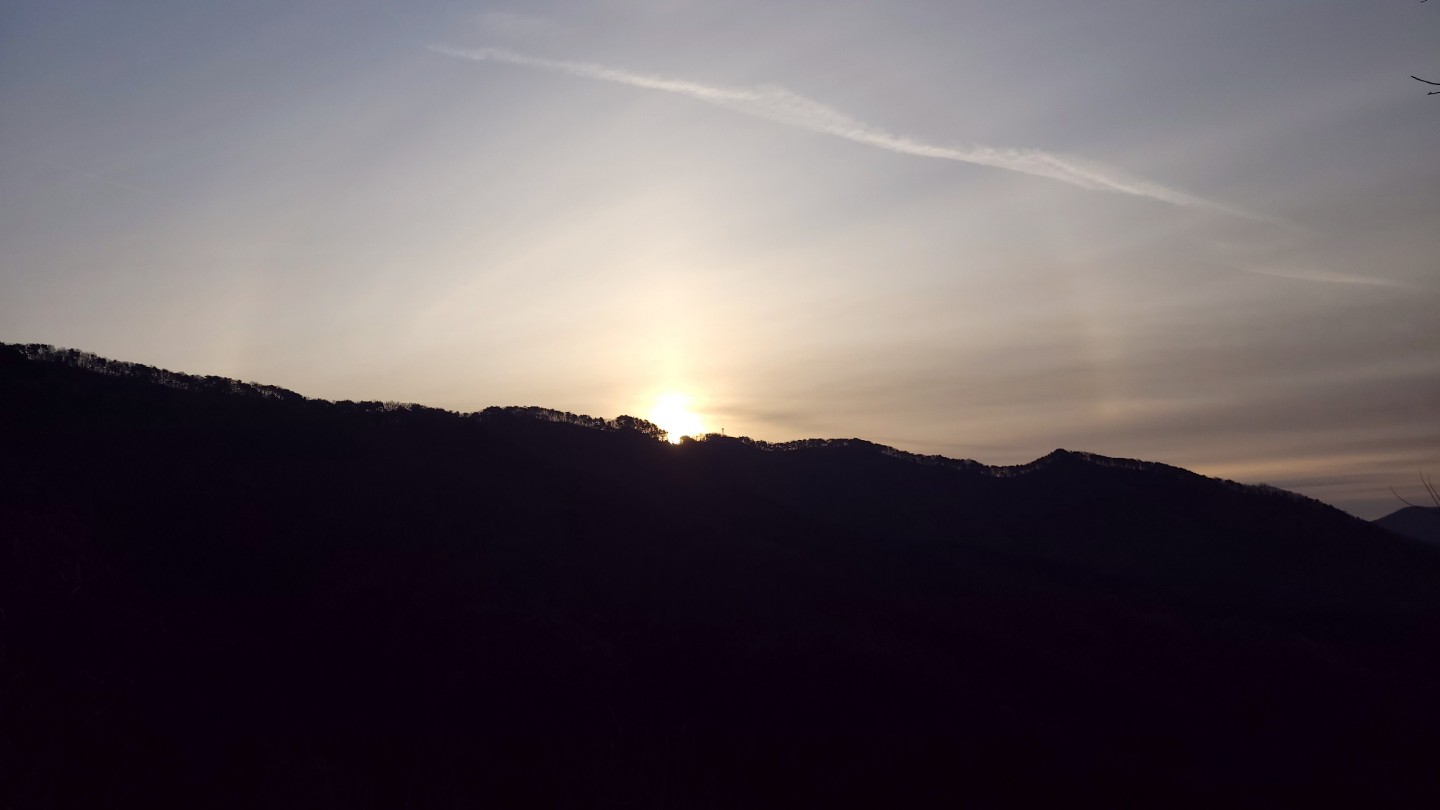 Post image 6