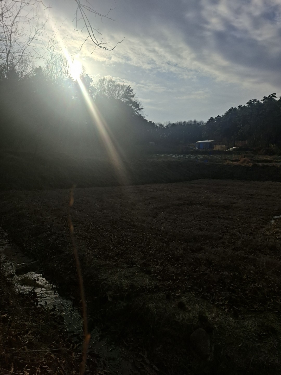 Post image 5