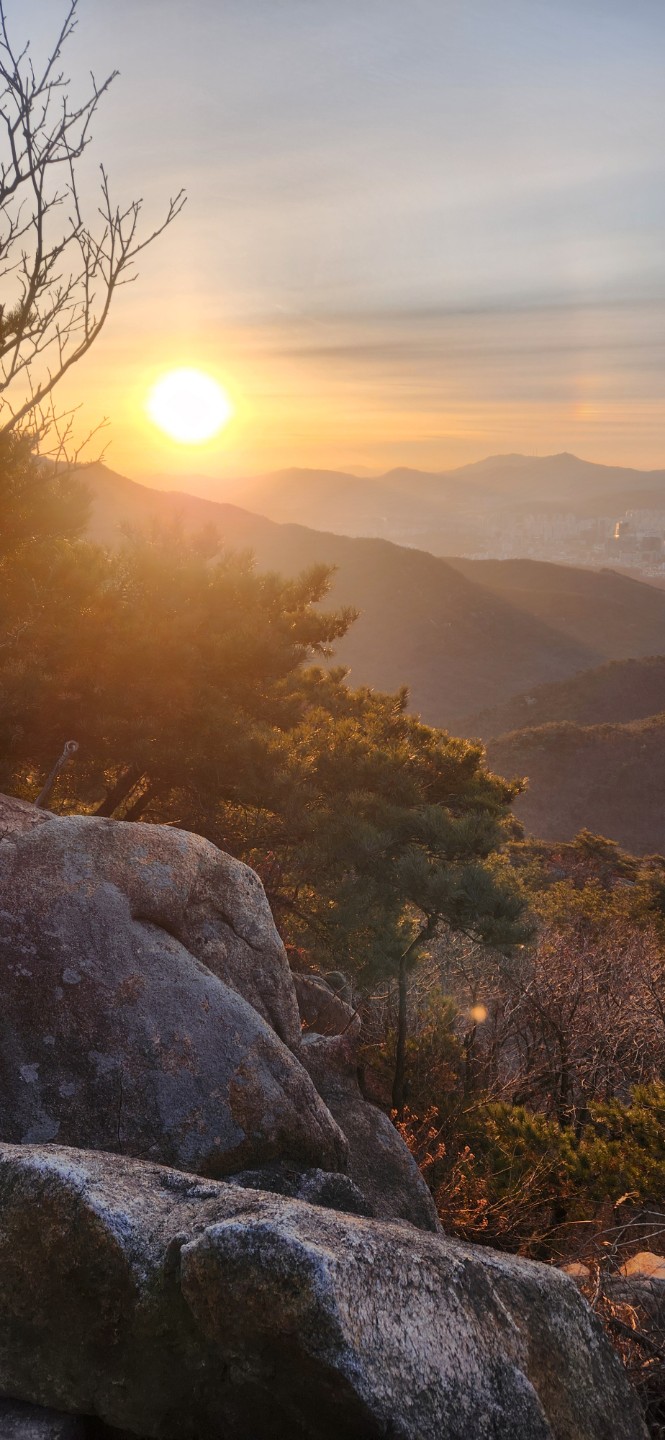 Post image 6